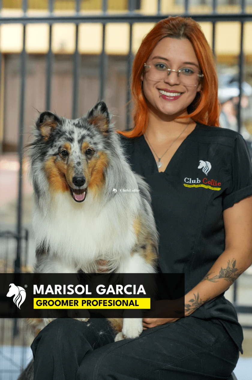Marisol