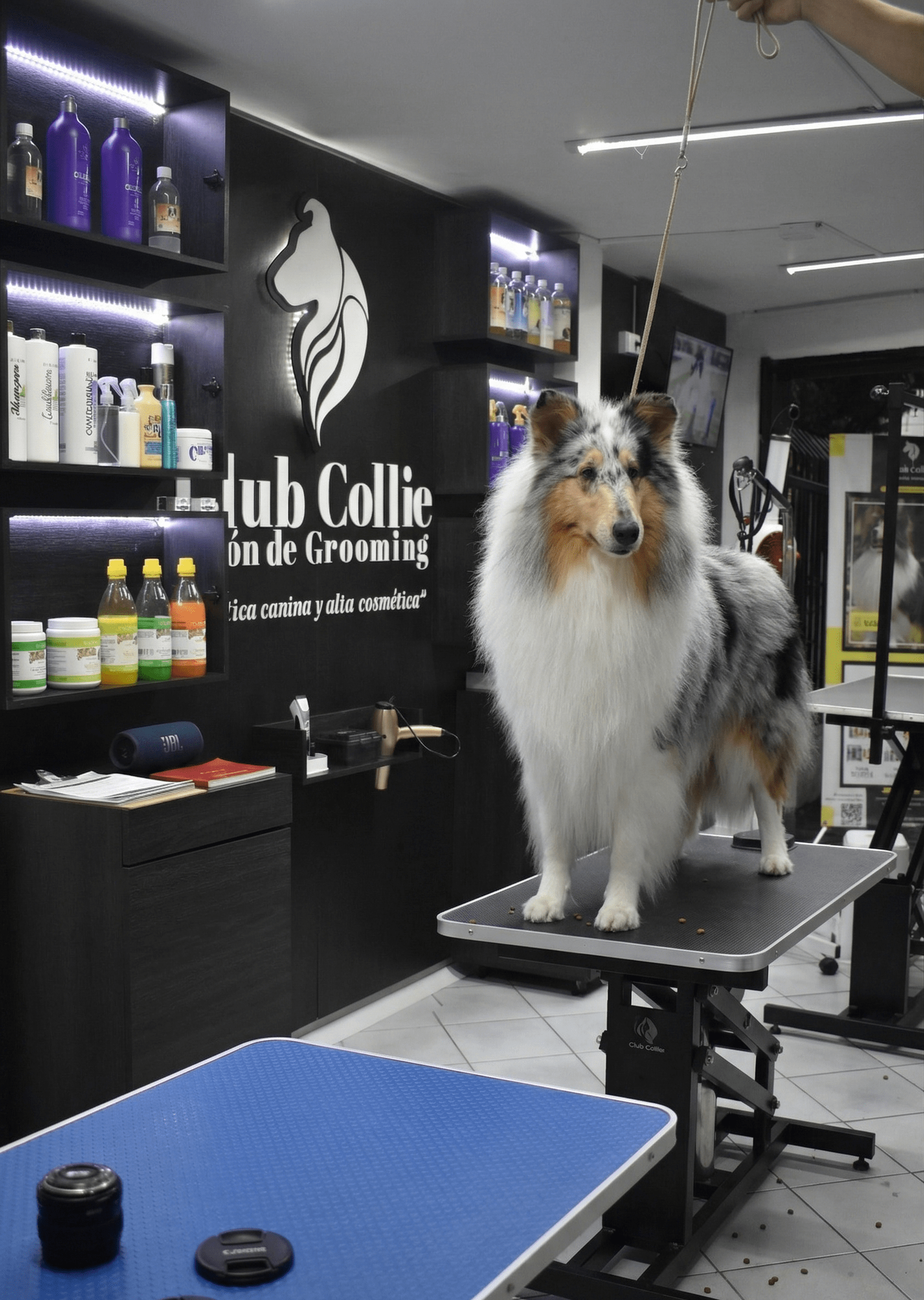 estetica canina